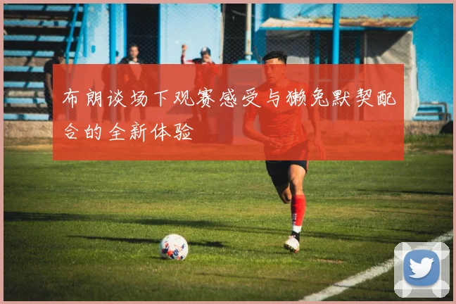 布朗谈场下观赛感受与獭兔默契配合的全新体验